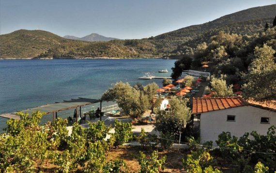 Eίσοδος κοινού Δωρεάν